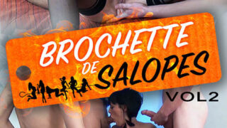 Brochette de salopes